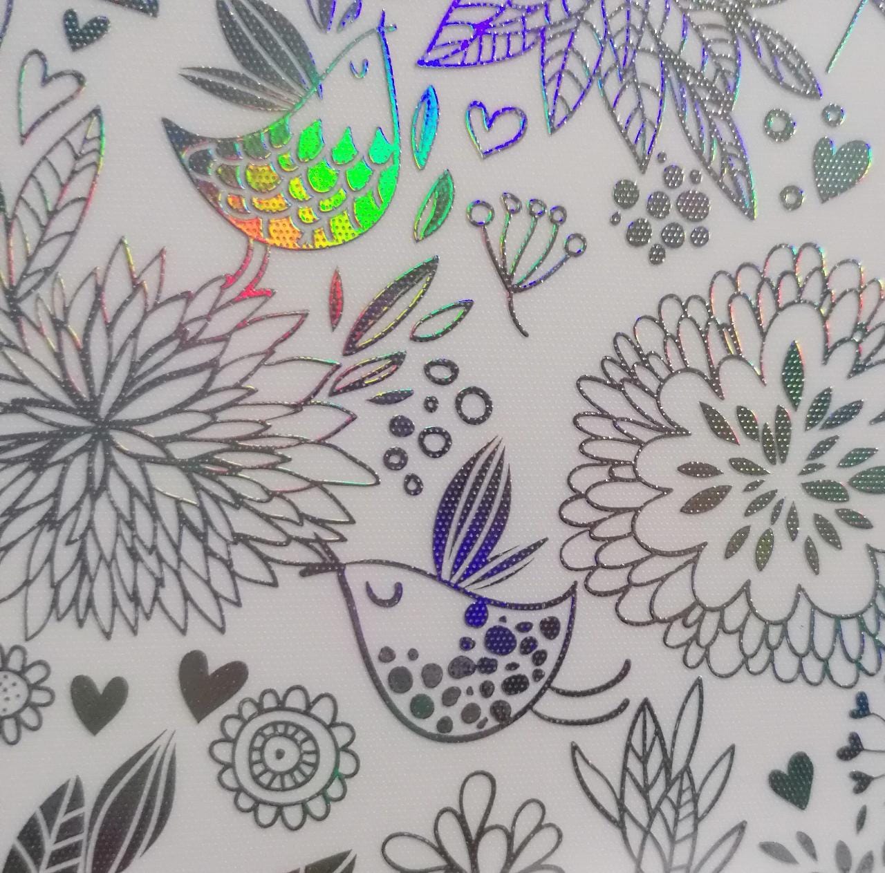 Skin Deluxe Holo Clear