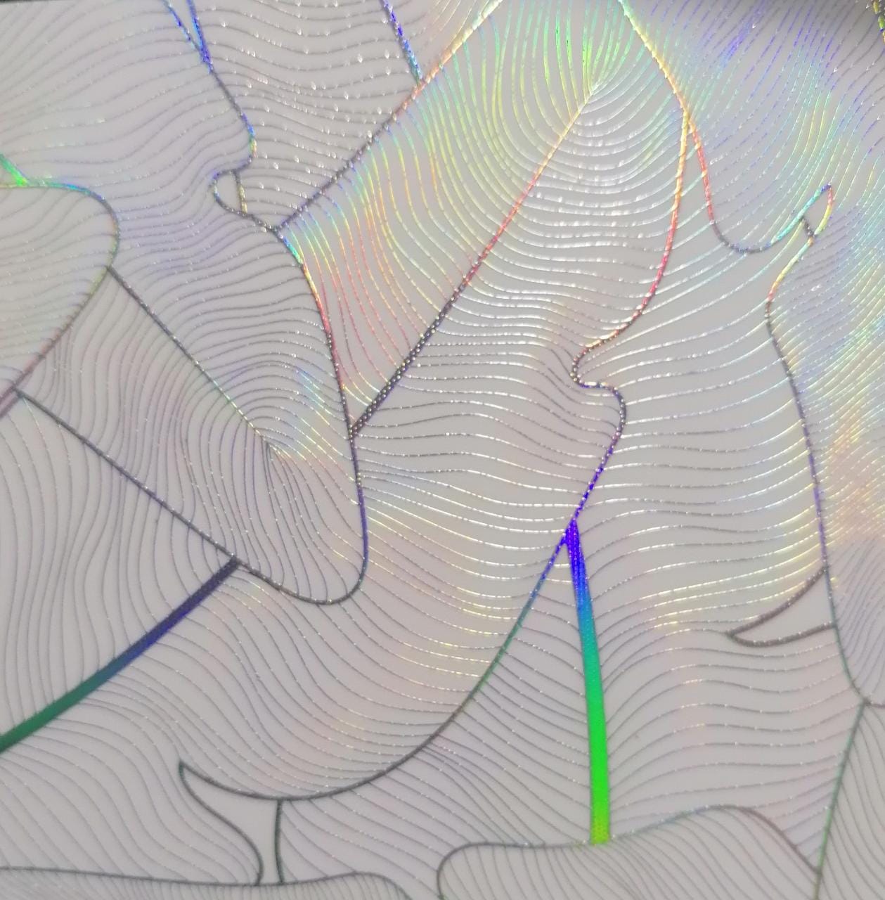 Skin Deluxe Holo Clear