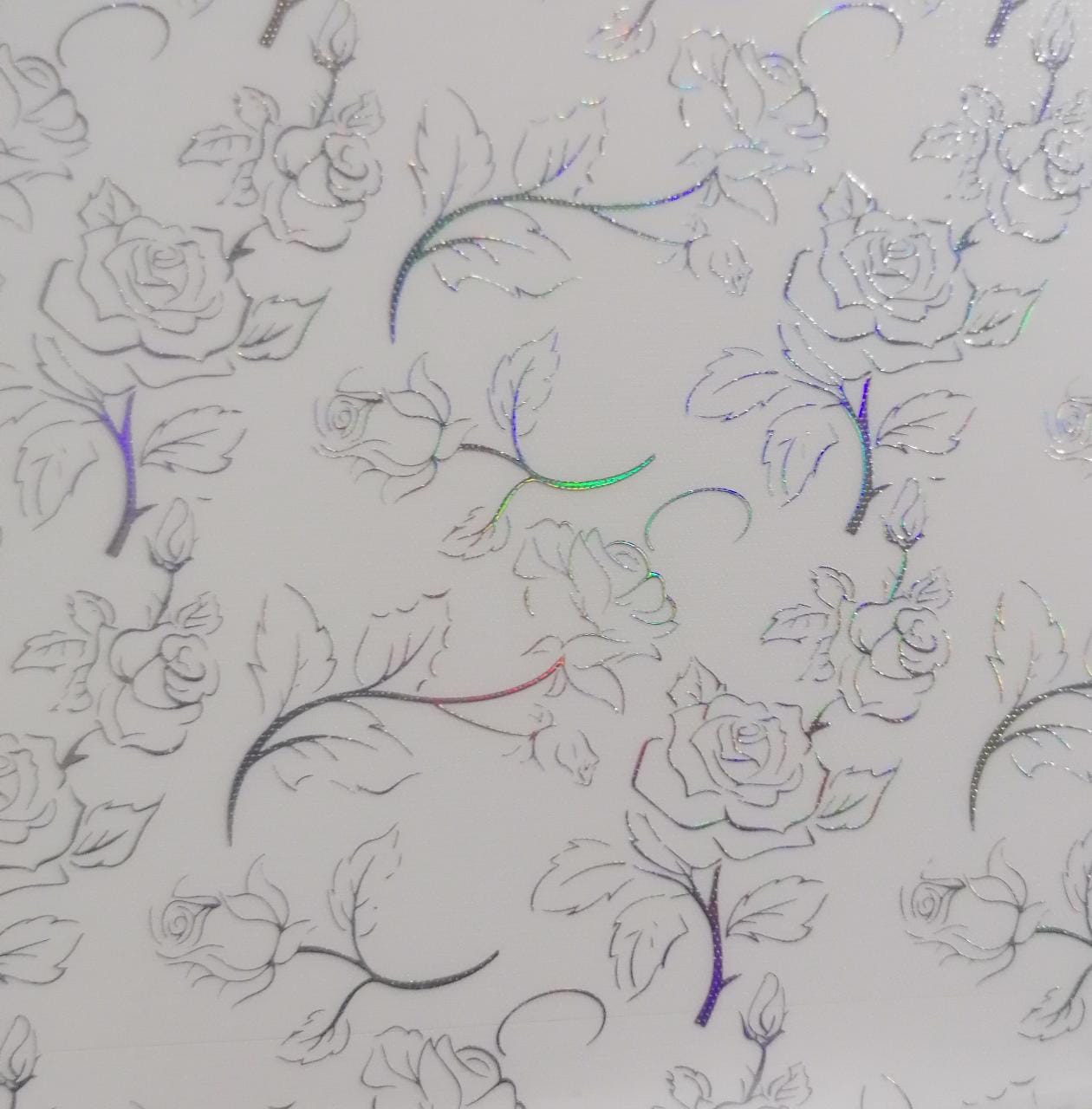 Skin Deluxe Holo Clear