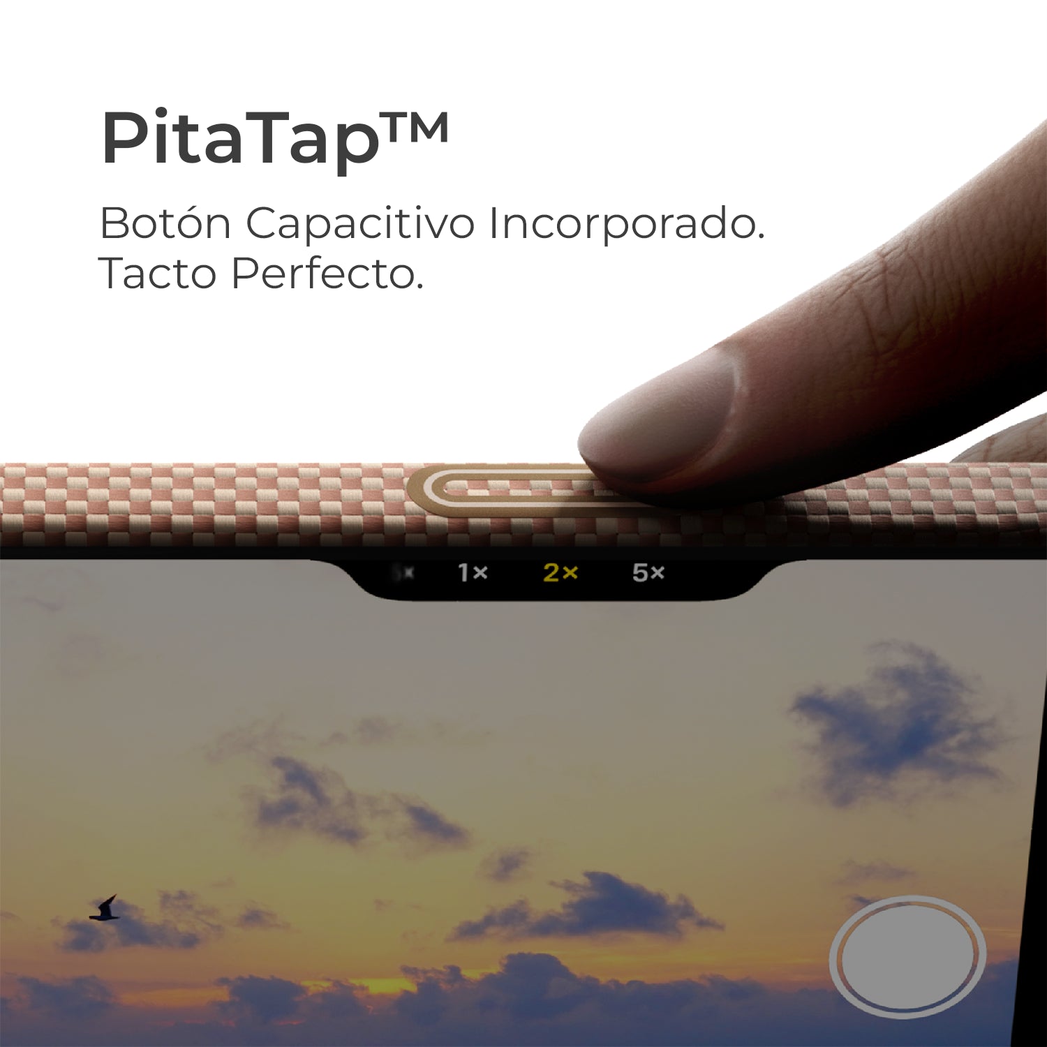 #color_Golden Glint (PitaTap™)